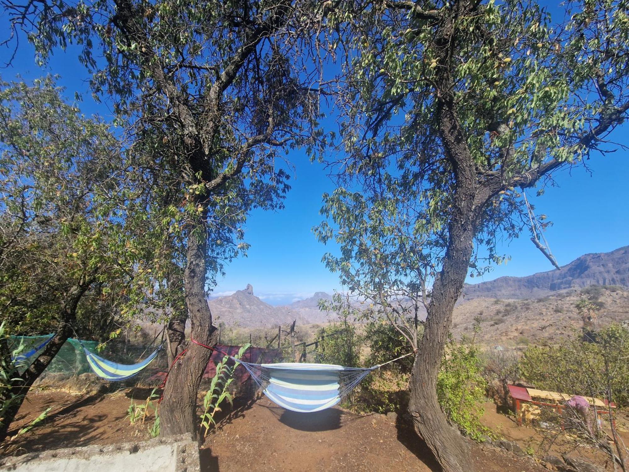 Finca La Isa By Rose Casas Rural Tejeda  Ngoại thất bức ảnh